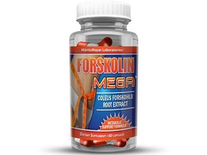 Maritz Mayer Laboratories Forskolin Mega for Weight Loss